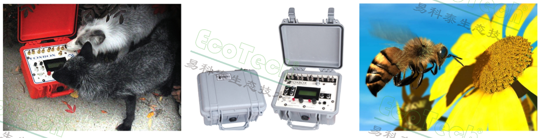首页- 南宫NG28国际集团官方网站