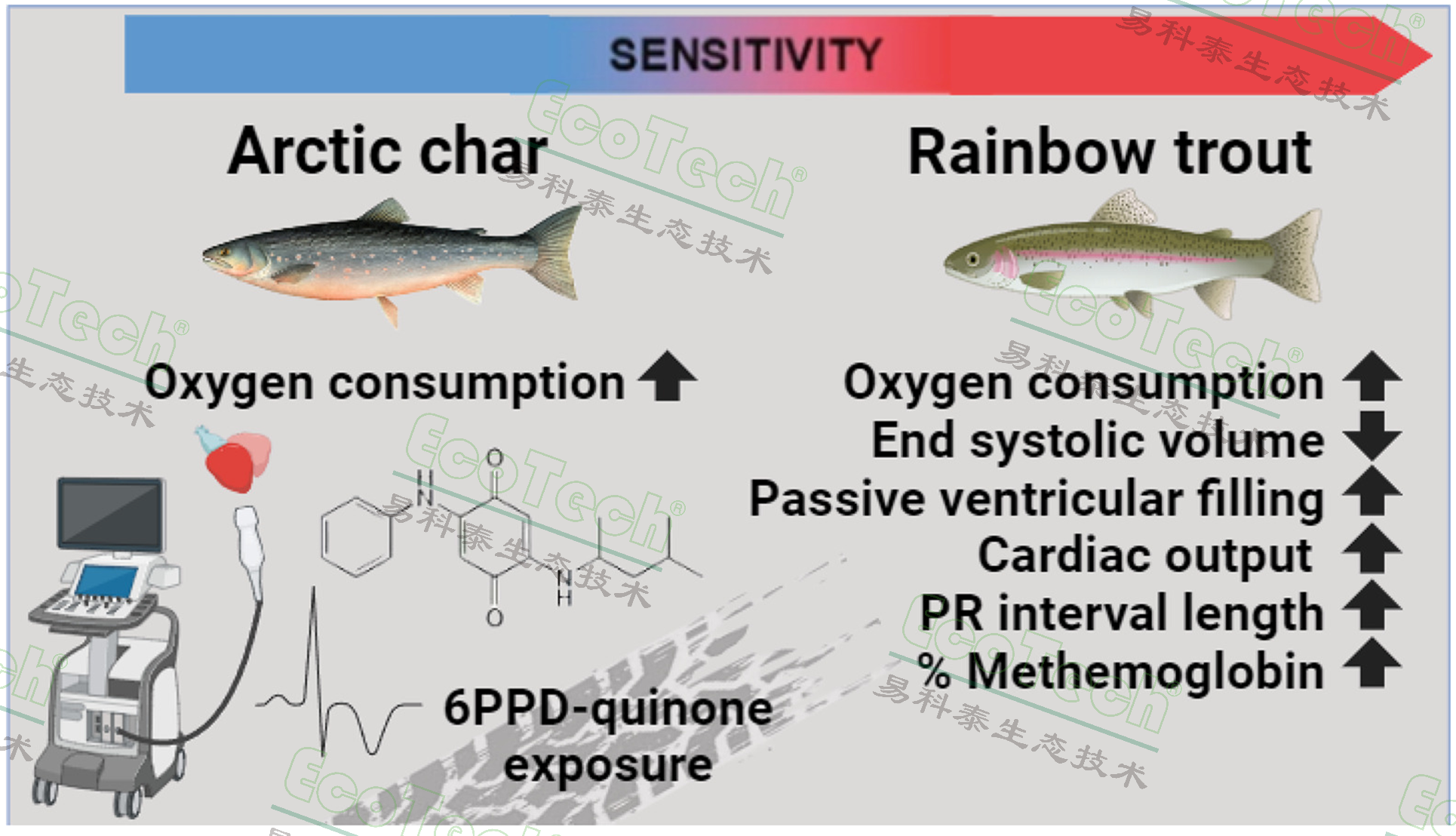 首页- 南宫NG28国际集团官方网站