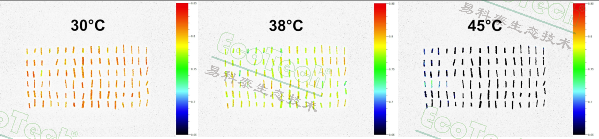 首页- 南宫NG28国际集团官方网站